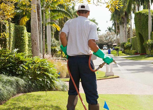 About North Newton KS Pest Control